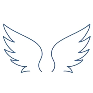 Angel Wings 1